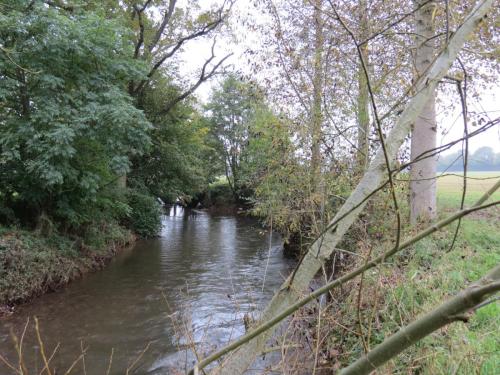 14.-Downstream-from-Bradford-Mill-17