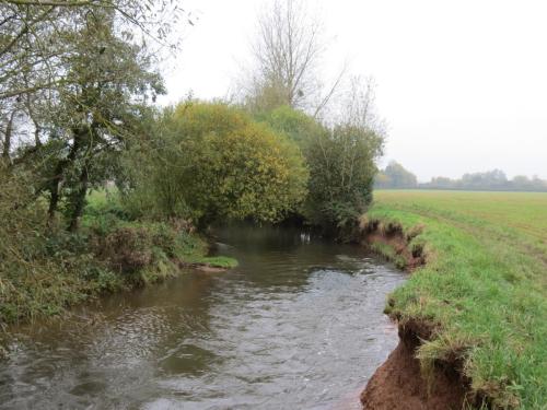 14.-Downstream-from-Bradford-Mill-18