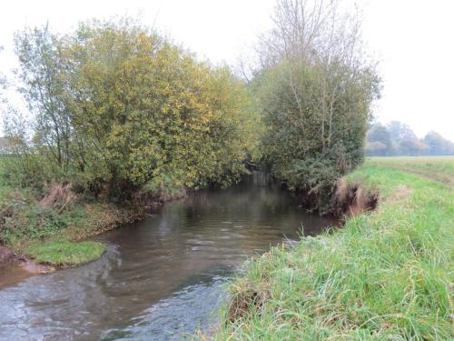 14.-Downstream-from-Bradford-Mill-19