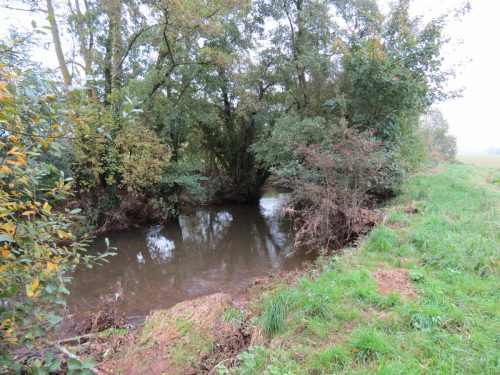 14.-Downstream-from-Bradford-Mill-3
