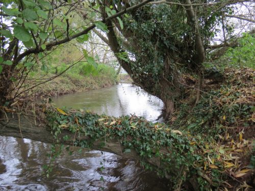 14.-Downstream-from-Bradford-Mill-4