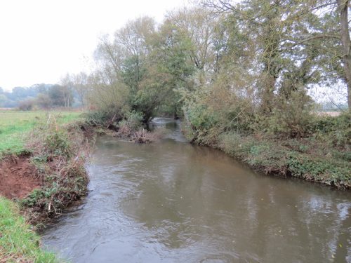 14.-Downstream-from-Bradford-Mill-8