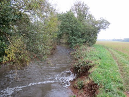 14.-Downstream-from-Bradford-Mill-9