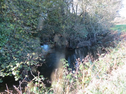 14.-Downstream-from-Cothay-1