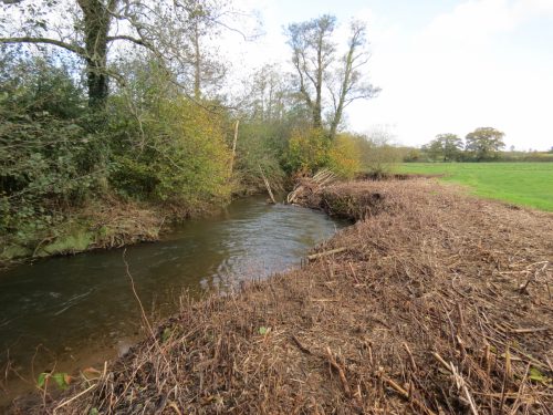 14.-Downstream-from-Cothay-11