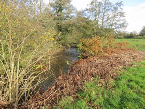 14.-Downstream-from-Cothay-16