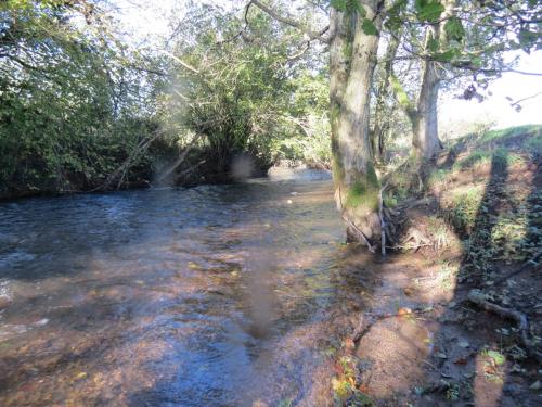 14.-Downstream-from-Cothay-2