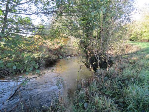 14.-Downstream-from-Cothay-3
