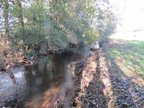 14.-Downstream-from-Cothay-5
