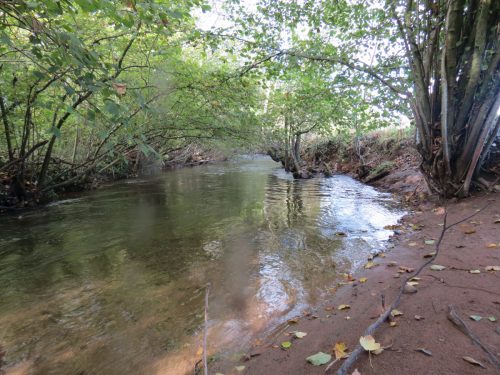 14.-Downstream-from-Cothay-6