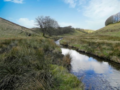 14.-Downstream-from-Long-Holcombe-Water-2