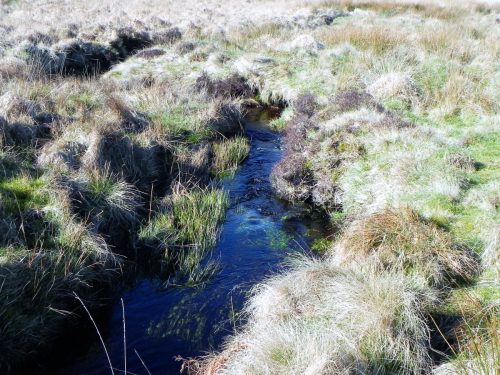 14.-Downstream-from-Madacombe-Bridge-2