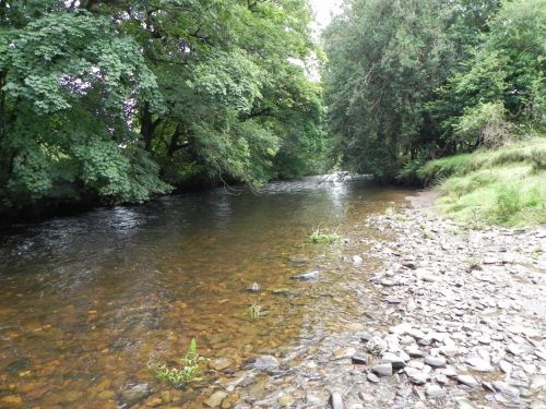 14.-Downstream-from-Perrys-weir-1