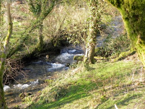 14.-Downstream-from-ROW-Bridge-2119-2