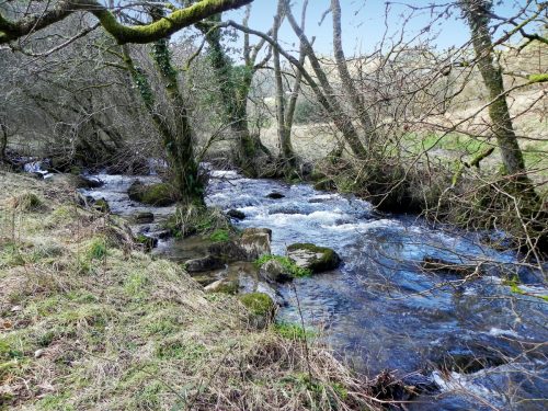 14.-Downstream-from-ROW-bridge-2122-2