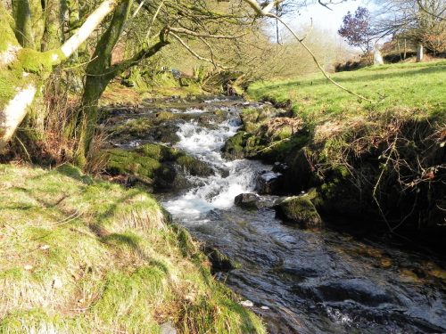 14.-Downstream-from-Robbers-Bridge-2