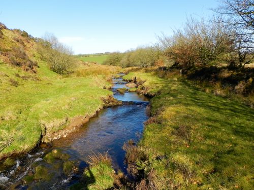 14.-Downstream-from-Upper-Willingford-Bridge-2