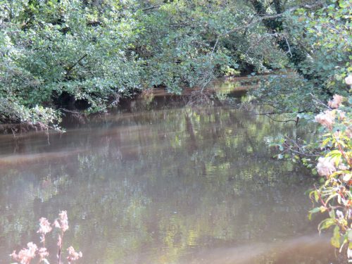 14.-Downstream-from-Weirside-Riverside-bridge-1