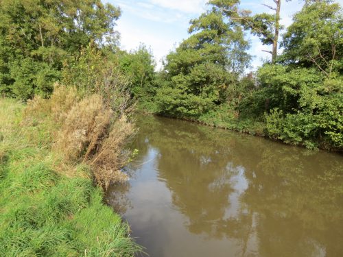14.-Downstream-from-Weirside-Riverside-bridge-2