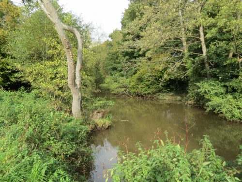 14.-Downstream-from-Weirside-Riverside-bridge-4