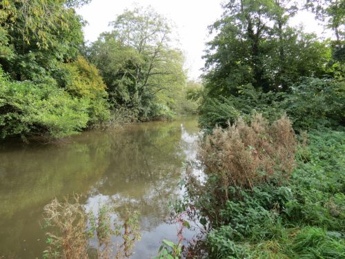 14.-Downstream-from-Weirside-Riverside-bridge-5