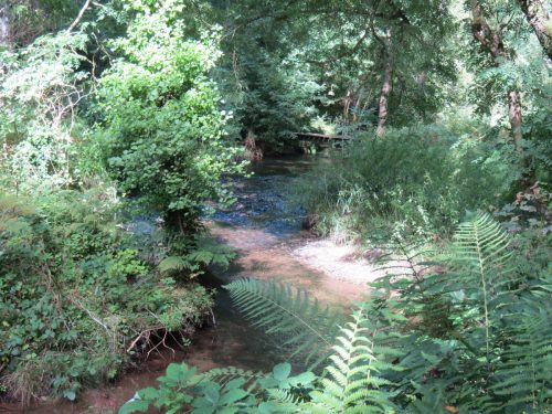 14.-Downstream-from-West-Deane-Way-Footbridge-A