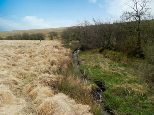 14.-Early-stream-approx-500-metres-from-source-2