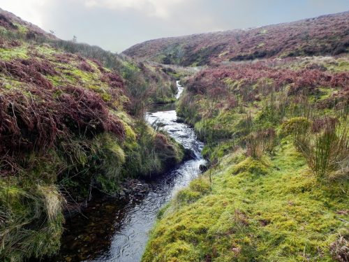 14.-Flowing-below-Black-Berrow-2