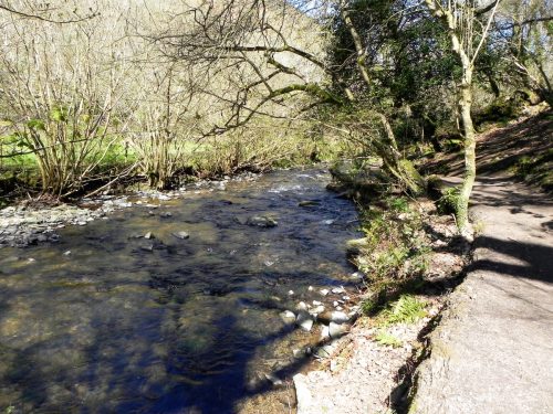 14.-Flowing-below-Heddon-Mouth-Wood-2
