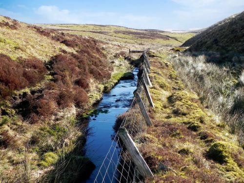 14.-Flowing-below-Hoccombe-Hill-2