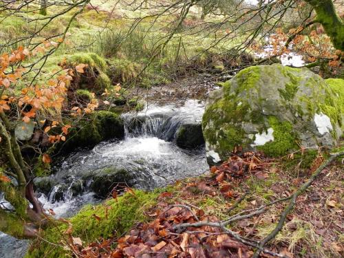 14.-Flowing-below-Mill-Hill-2