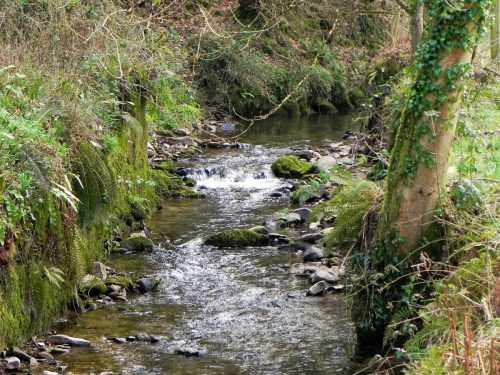 14.-Flowing-by-Timber-Wood-2