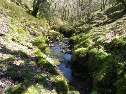 14.-Flowing-down-Hawkcombe