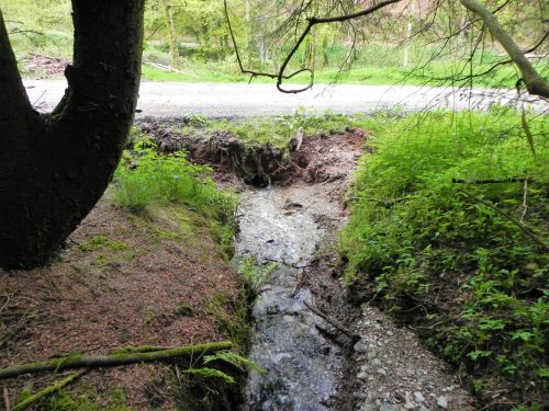 14.-Flowing-through-Chargot-Woods-10