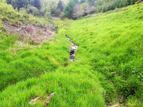 14.-Flowing-through-Chargot-Woods-3