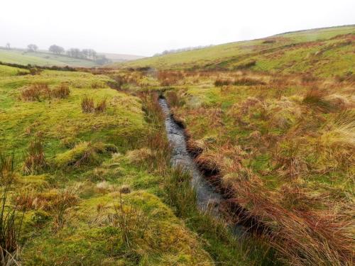 14.-Flowing-through-Long-Combe-2