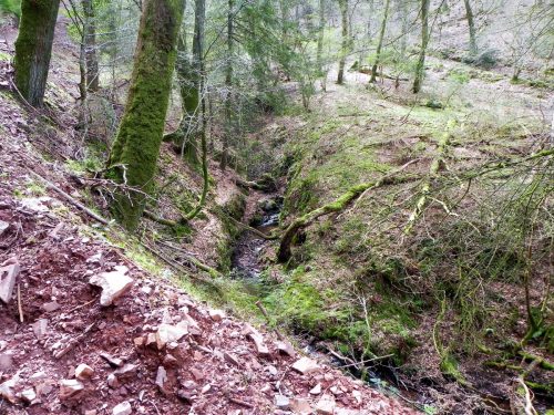 14.-Flowing-through-Luccombe-Plantation-2