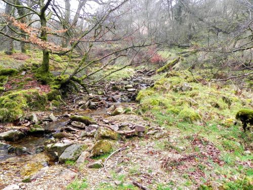 14.-Flowing-through-Mansley-Combe-2
