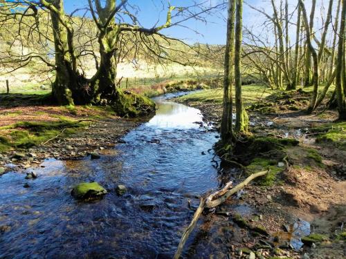 14.-Flowing-through-Shortacombe-Wood-2