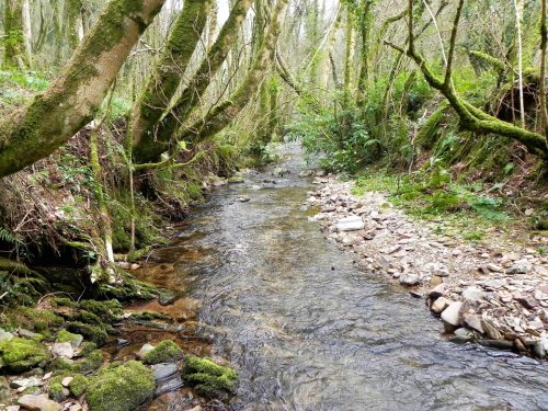 14.-Flowing-through-Snowdrop-Valley-2