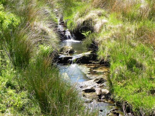 14.-Flowing-to-Furzehill-30