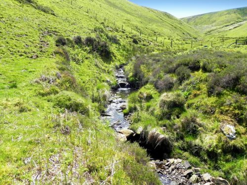 14.-Flowing-to-Furzehill-37