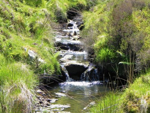 14.-Flowing-to-Furzehill-38
