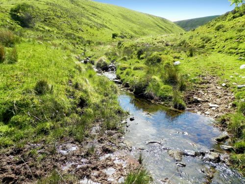 14.-Flowing-to-Furzehill-40