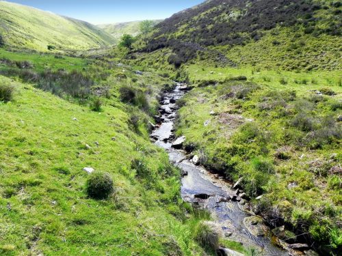 14.-Flowing-to-Furzehill-43