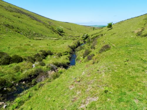 14.-Flowing-to-Furzehill-46