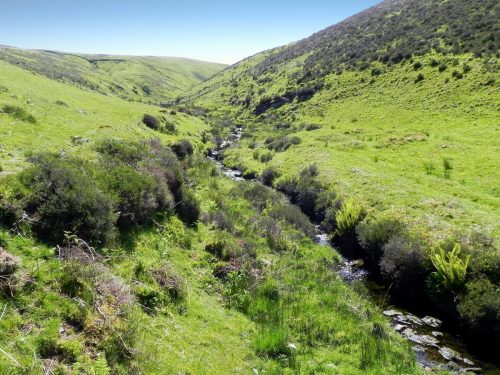 14.-Flowing-to-Furzehill-47