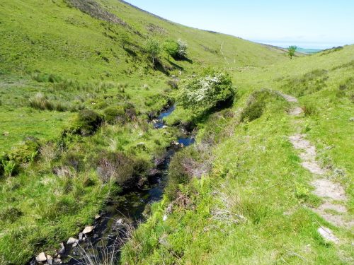 14.-Flowing-to-Furzehill-48