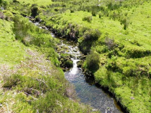 14.-Flowing-to-Furzehill-51
