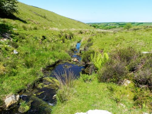 14.-Flowing-to-Furzehill-52